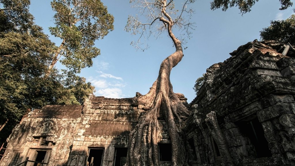 Ta Prohm