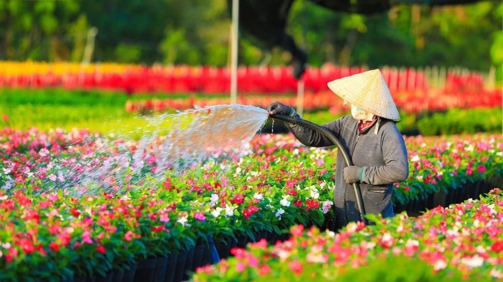 Sa Dec — the flower town of the Mekong Delta