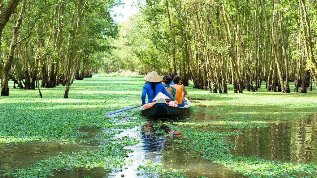 Floating through An Giang’s Cajeput Forest