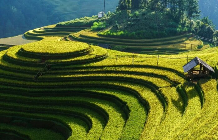 Mu Cang Chai colline Mam Xoi