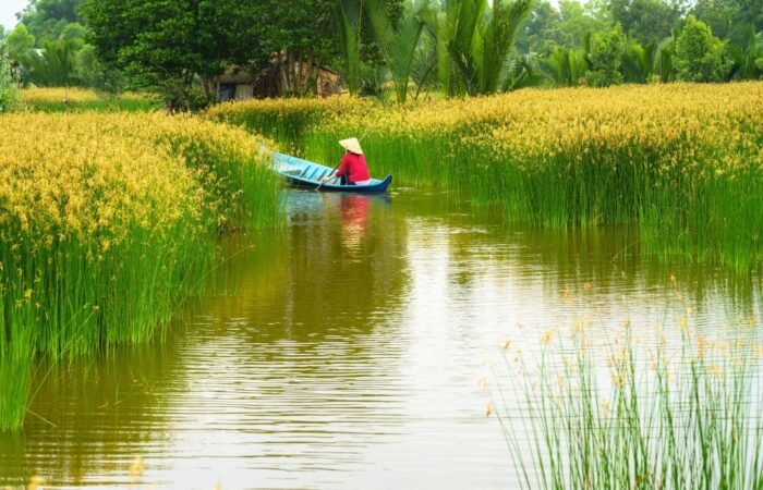 Combien de jours pour découvrir le Delta du Mékong au Vietnam ?