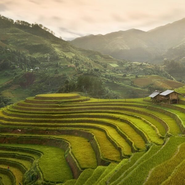 Gastronomie locale : que goûter à Mu Cang Chai ?