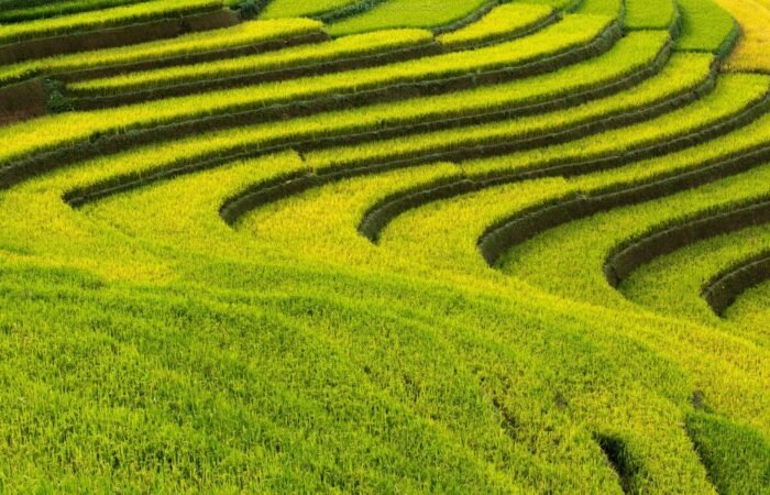 Visite Sapa : Comment se rendre à Sapa de Hanoi facilement