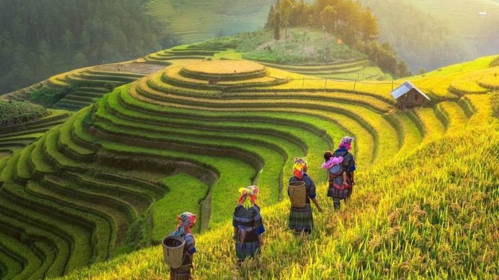 Mu Cang Chai beauty - things to do in Mu Cang Chai