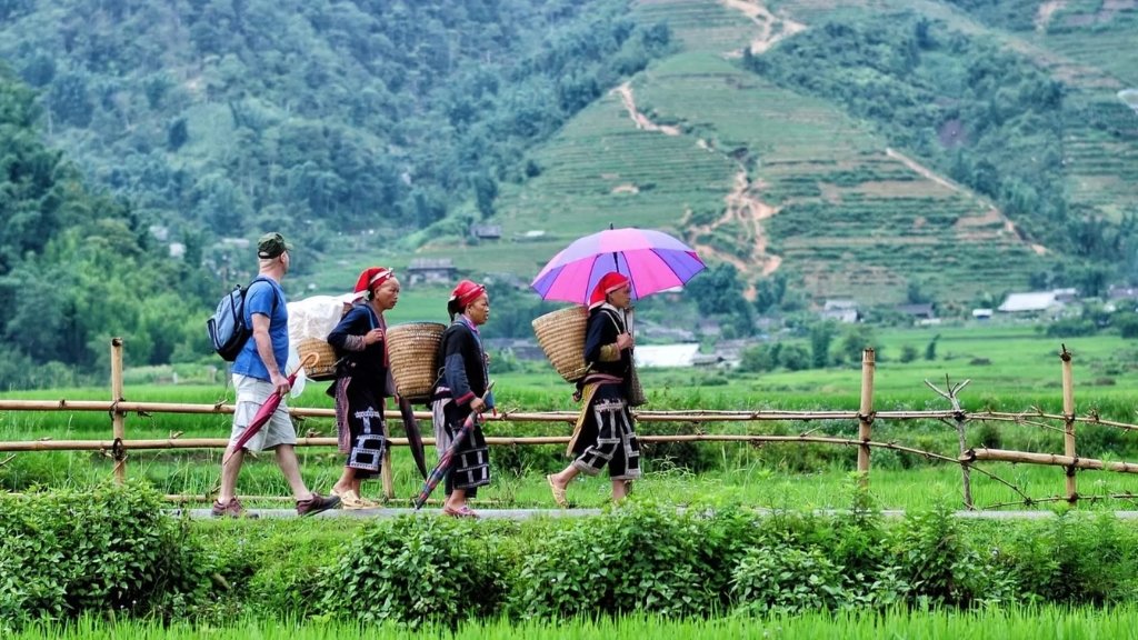 Trekking in Sapa mountain